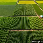 Home 18 공간 컴퓨팅 기술의 미래를 위한 정책 제안 - A high-tech Brazilian agricultural scene showcasing precision farming with drones and satellites mon...