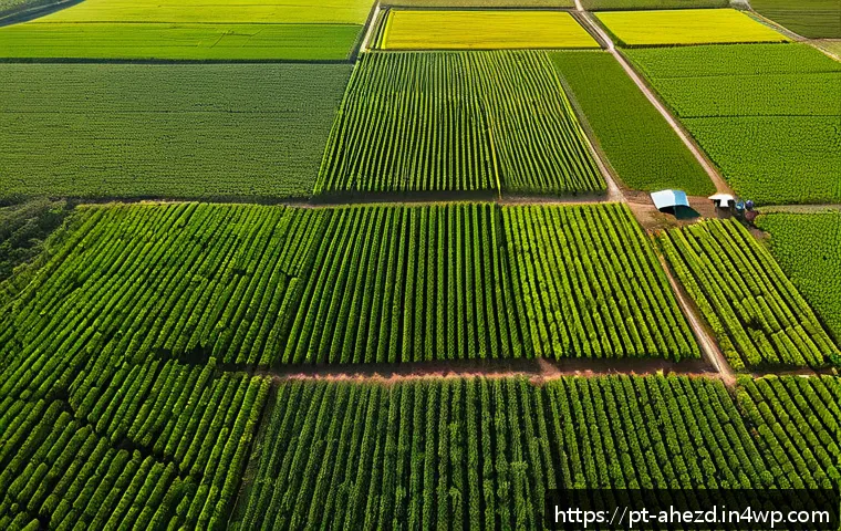 공간 컴퓨팅 기술의 미래를 위한 정책 제안 - A high-tech Brazilian agricultural scene showcasing precision farming with drones and satellites mon...